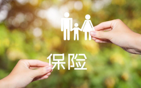 什么是保险，保险有哪些种类，保险对于家庭的作用是什么？