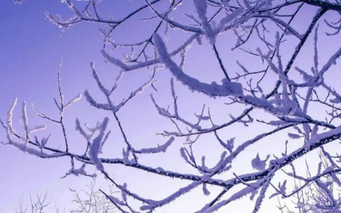 为什么现在保险人都喜欢卖分红险