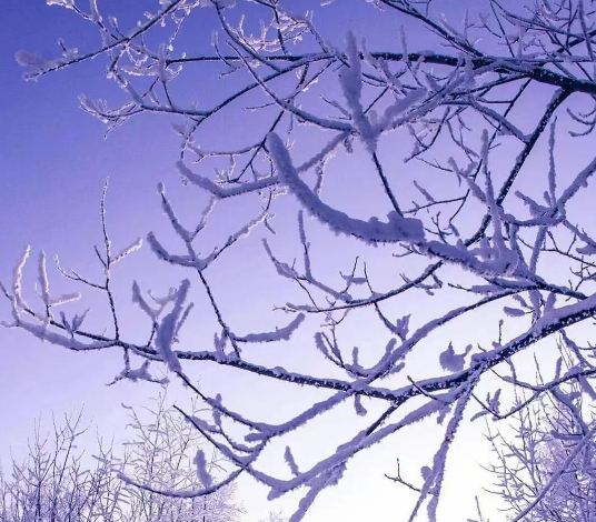 为什么现在保险人都喜欢卖分红险