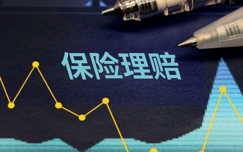 什么样的保险，可以重复理赔？